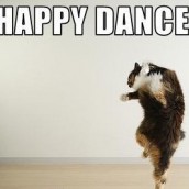 Does Your Dancing Need More “Kitty”?